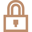 Propiedad Intelectual y Protección de Datos Personales